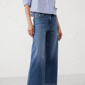 Banana Republic Wide Leg Crop Jeans